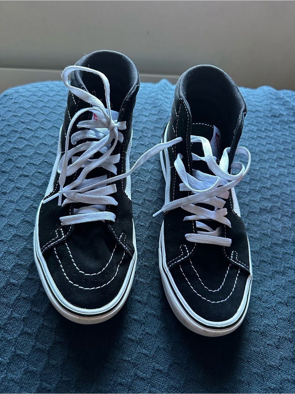 Vans Black High-Top Sk8 Sneakers